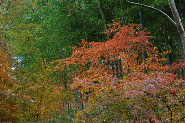 b0203588_1911343.jpg