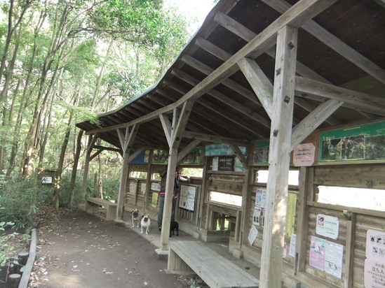 f0063791_9403170.jpg