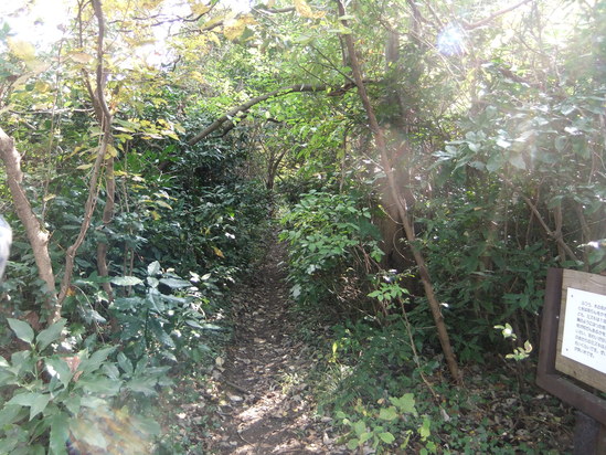 f0063791_9413722.jpg