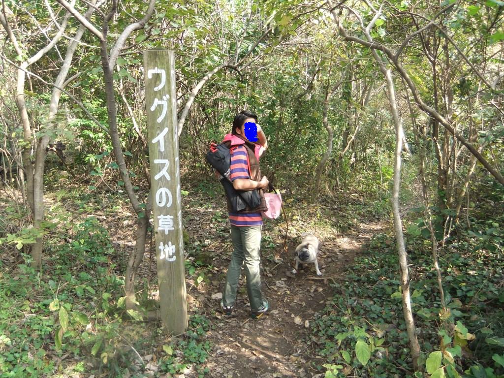 f0063791_9415777.jpg