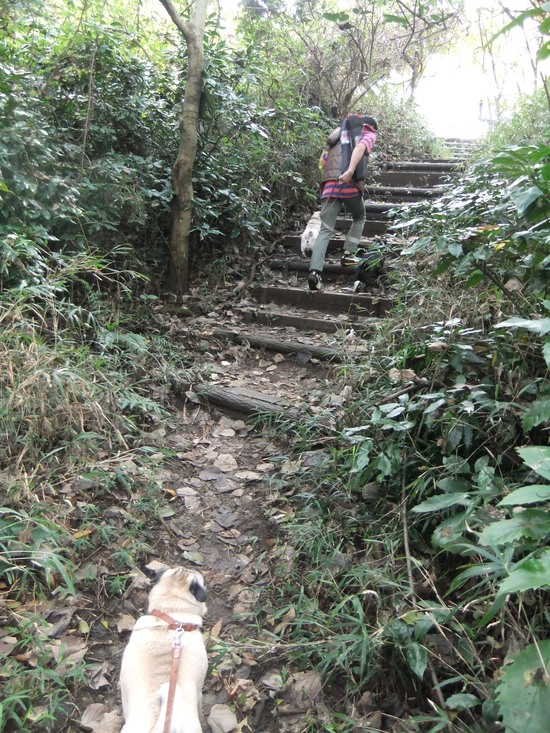 f0063791_9421573.jpg