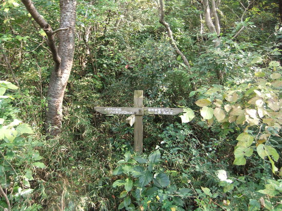 f0063791_9424172.jpg