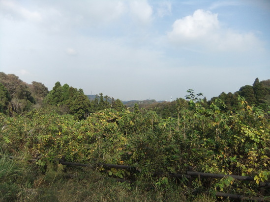 f0063791_9473013.jpg