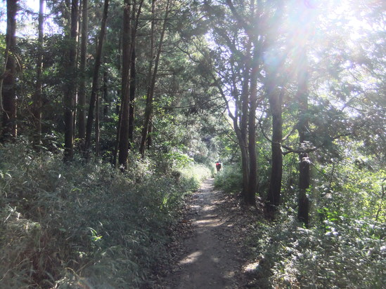 f0063791_9491461.jpg