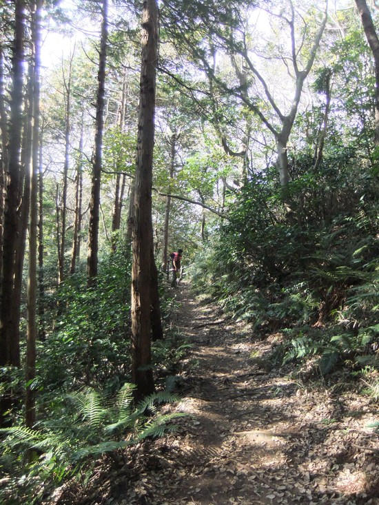 f0063791_9493092.jpg