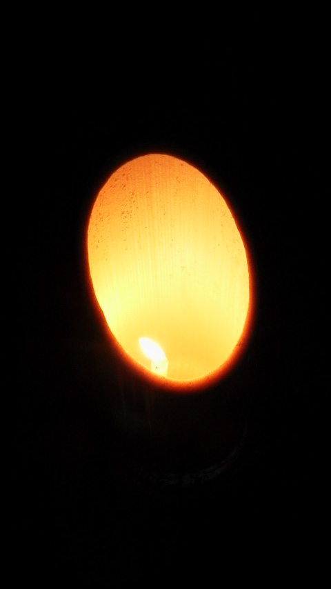 e0087595_2513738.jpg