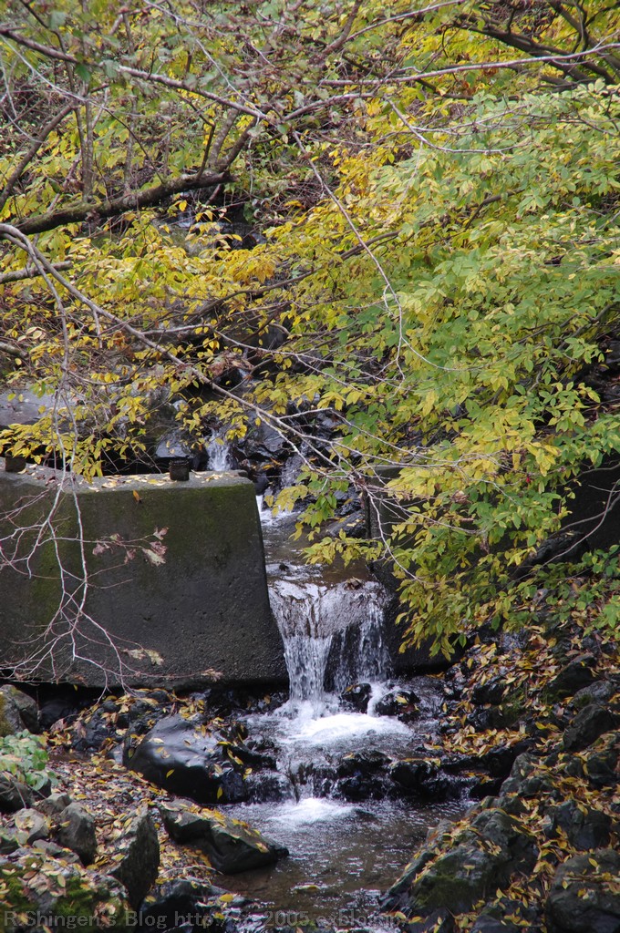 c0025498_0222016.jpg