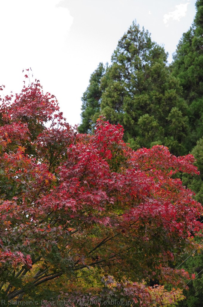 c0025498_0224868.jpg