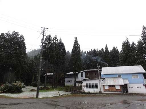 a0061599_1183259.jpg