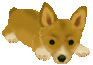 c0074000_19565737.gif