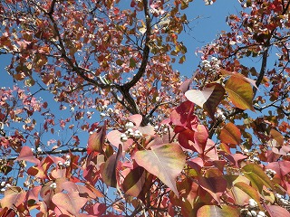 c0190010_1741488.jpg