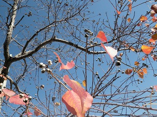 c0190010_1745294.jpg
