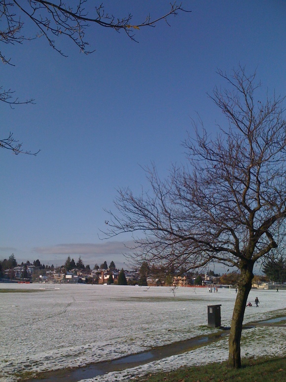 e0247410_3434579.jpg