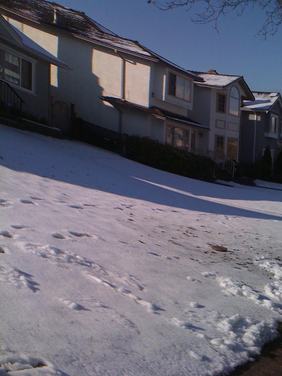 e0247410_3454566.jpg