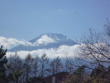 a0232811_2214181.jpg