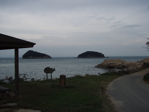 b0121015_17185613.jpg