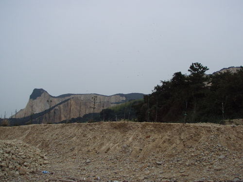 b0121015_1731442.jpg