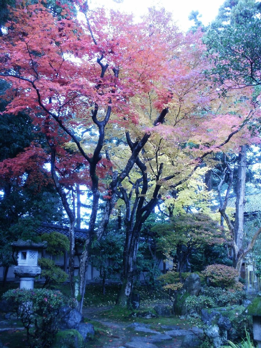 e0135219_111472.jpg