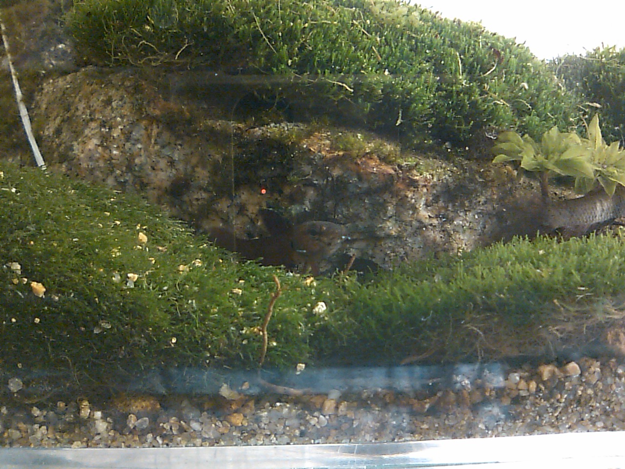 d0187020_01310100.jpg