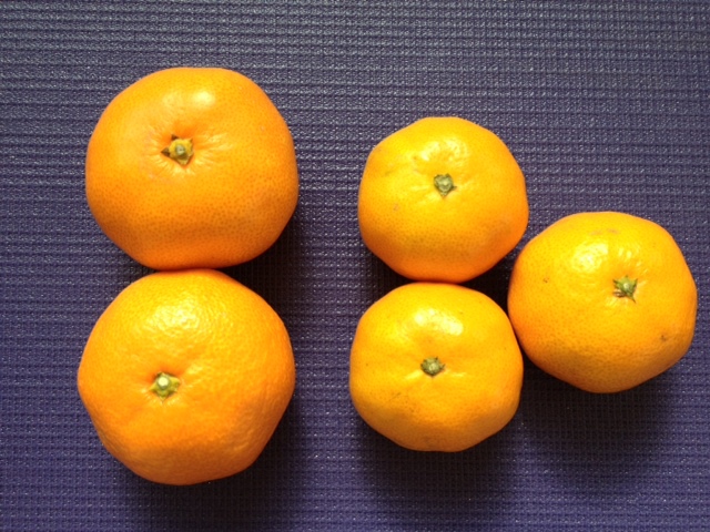 f0234821_2295759.jpg