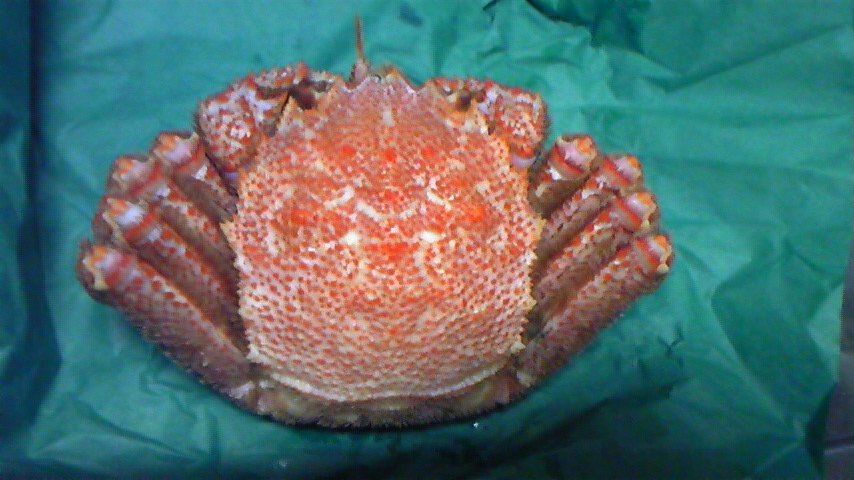c0038722_9274278.jpg