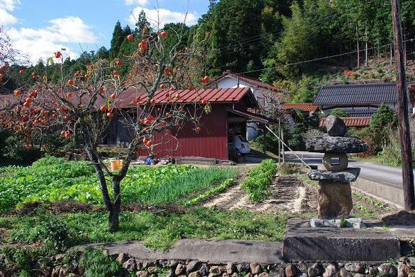 f0007926_1744315.jpg