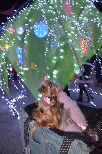 f0124830_14353549.jpg
