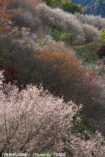 a0195032_230518.jpg