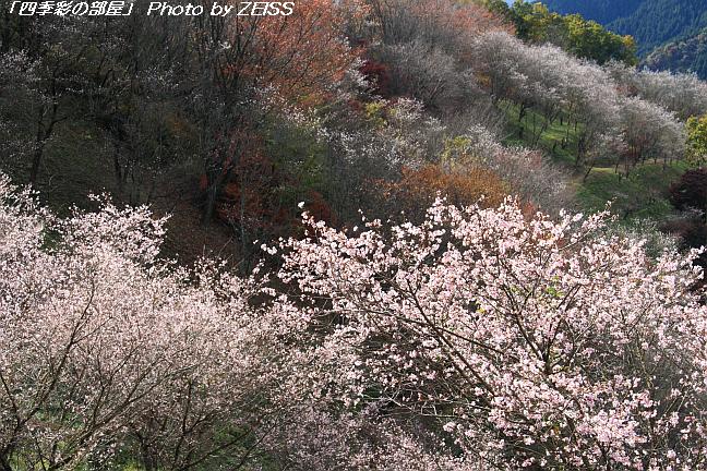 a0195032_2323782.jpg