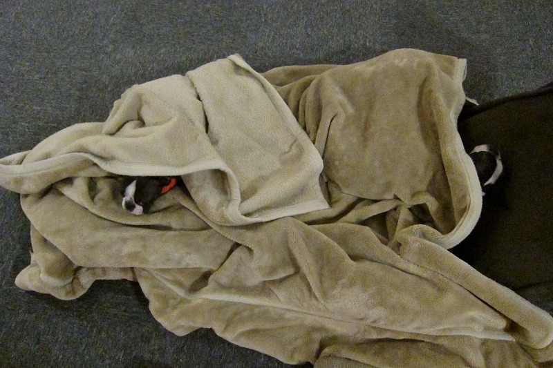 c0209932_22382493.jpg