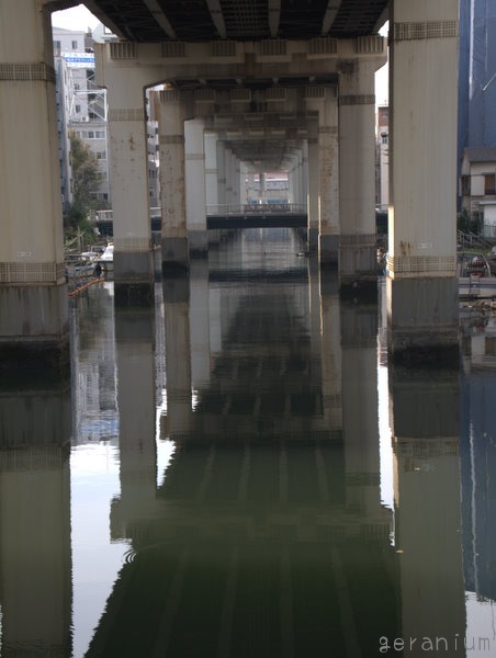 c0133533_143365.jpg