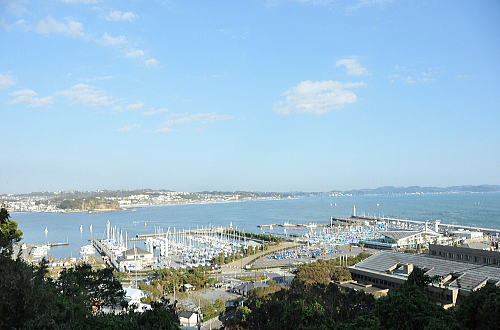 f0094843_129176.jpg