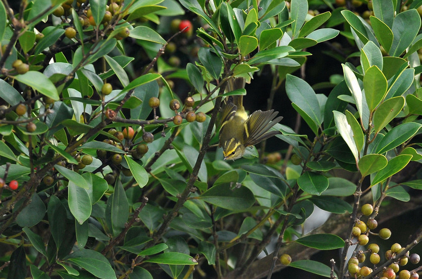 b0148352_18371873.jpg