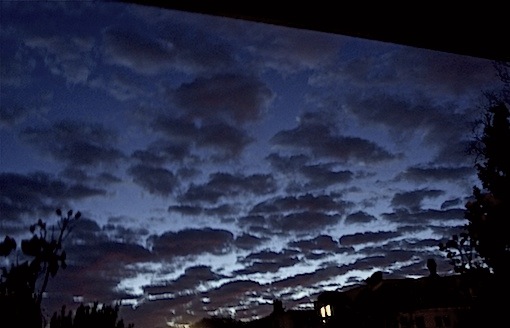 a0157554_1351772.jpg