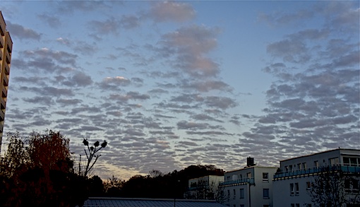 a0157554_1442789.jpg