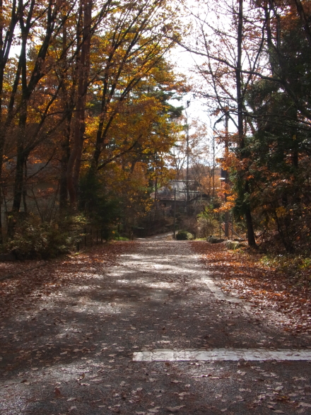 c0224154_15284589.jpg