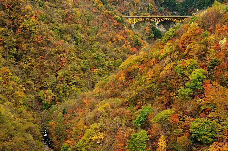 f0222161_11192769.jpg