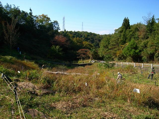 d0128465_12322781.jpg