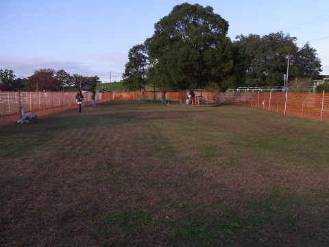 e0059267_23215797.jpg