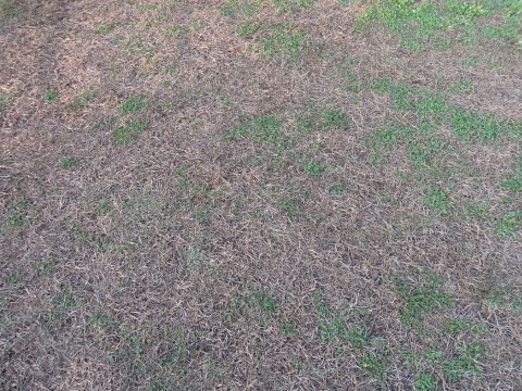 e0059267_23222775.jpg