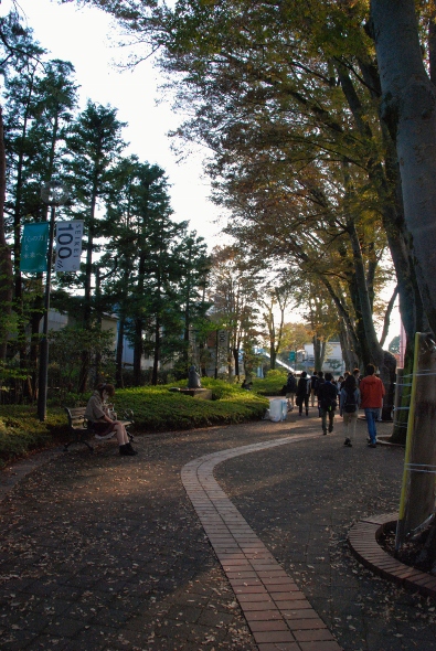 f0065768_1734888.jpg