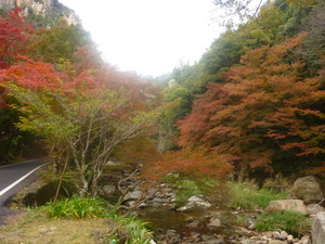 c0216472_12115260.jpg