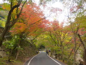 c0216472_1212101.jpg