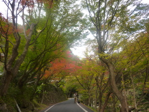 c0216472_1212228.jpg