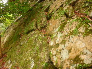 c0216472_12134416.jpg