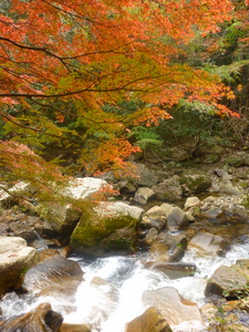 c0216472_12153172.jpg