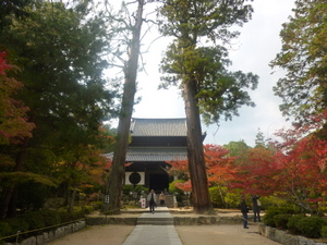 c0216472_12175065.jpg