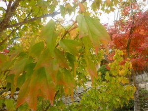 c0216472_12183891.jpg