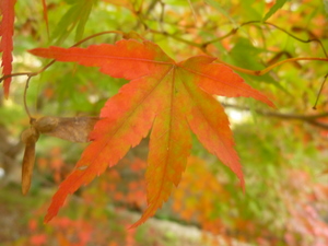c0216472_12213654.jpg