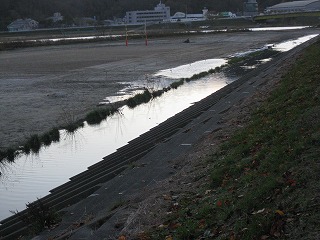 a0205377_14545295.jpg